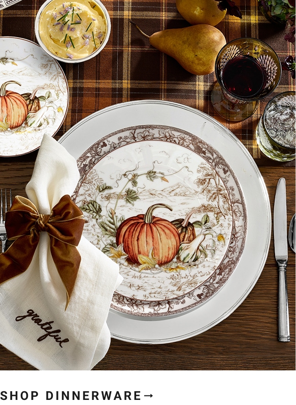 Shop Dinnerware