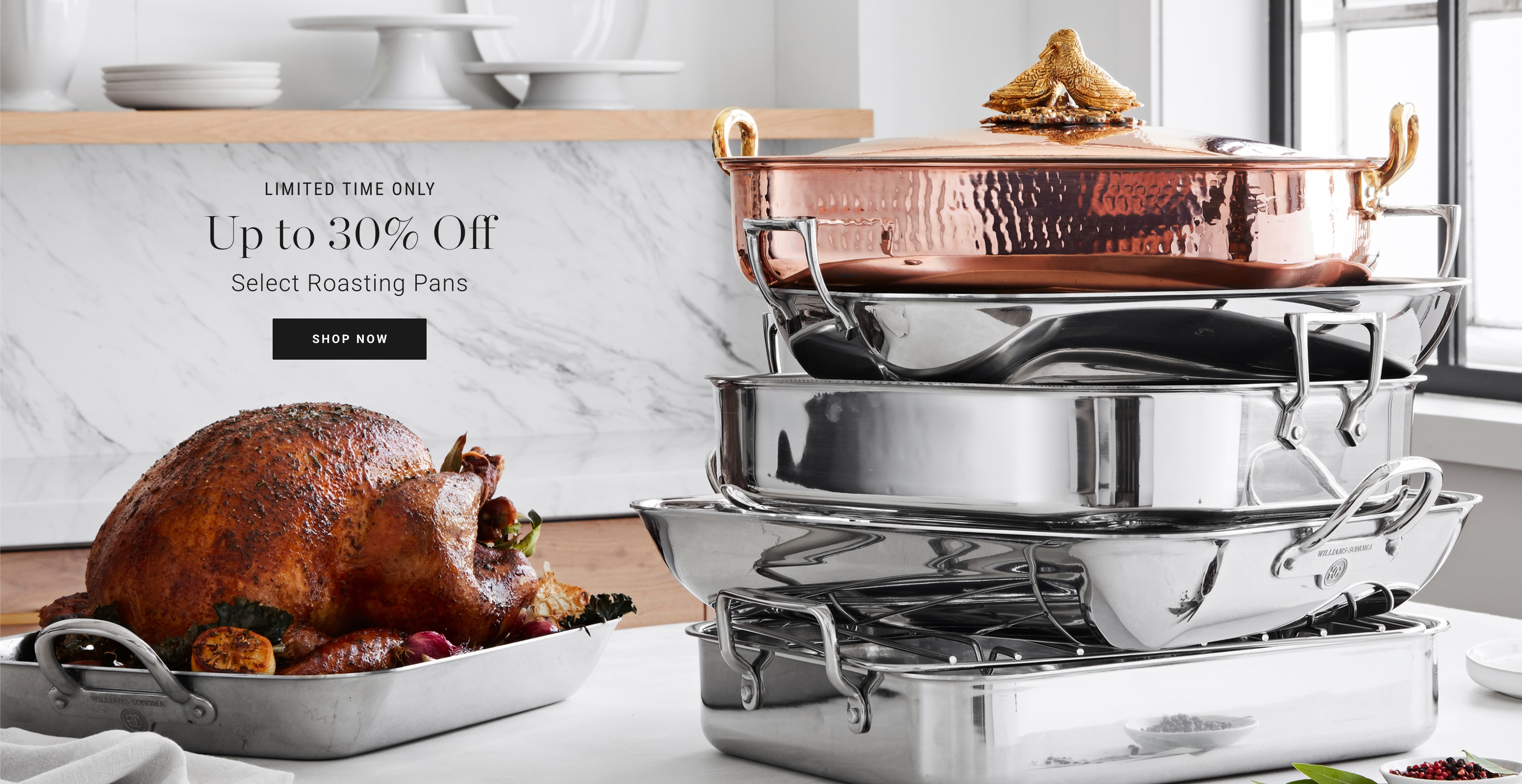 Shop Roasting Pans Deals