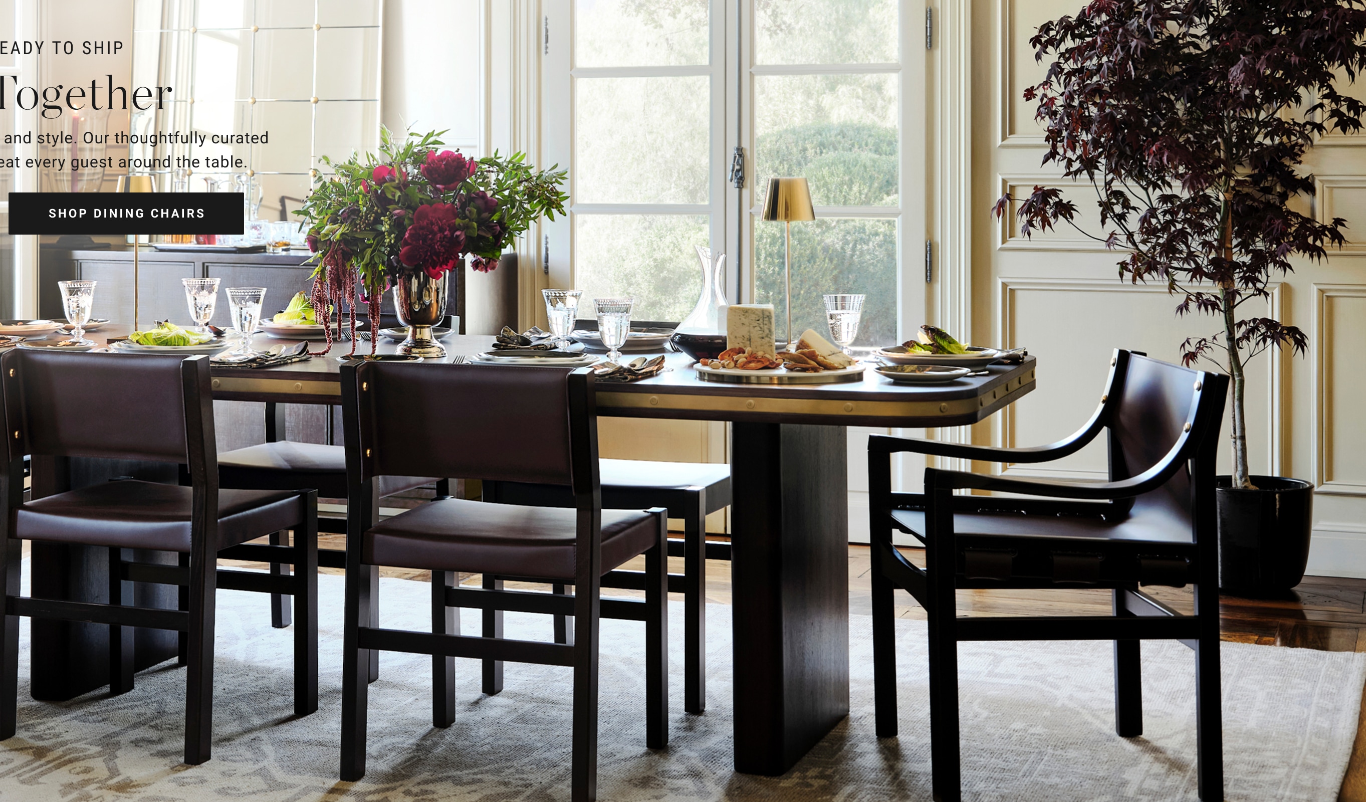 Shop Dining Chairs