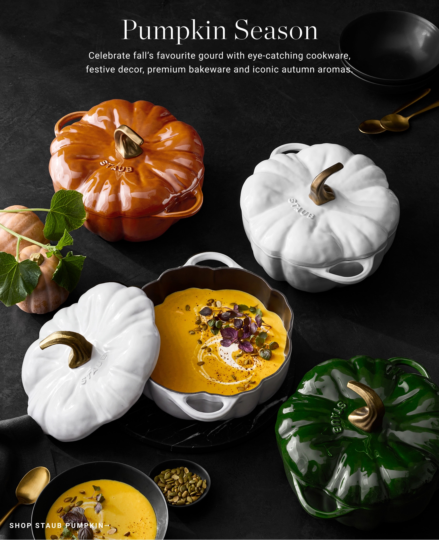 Shop Staub Pumpkin Shop Staub Pumpkin