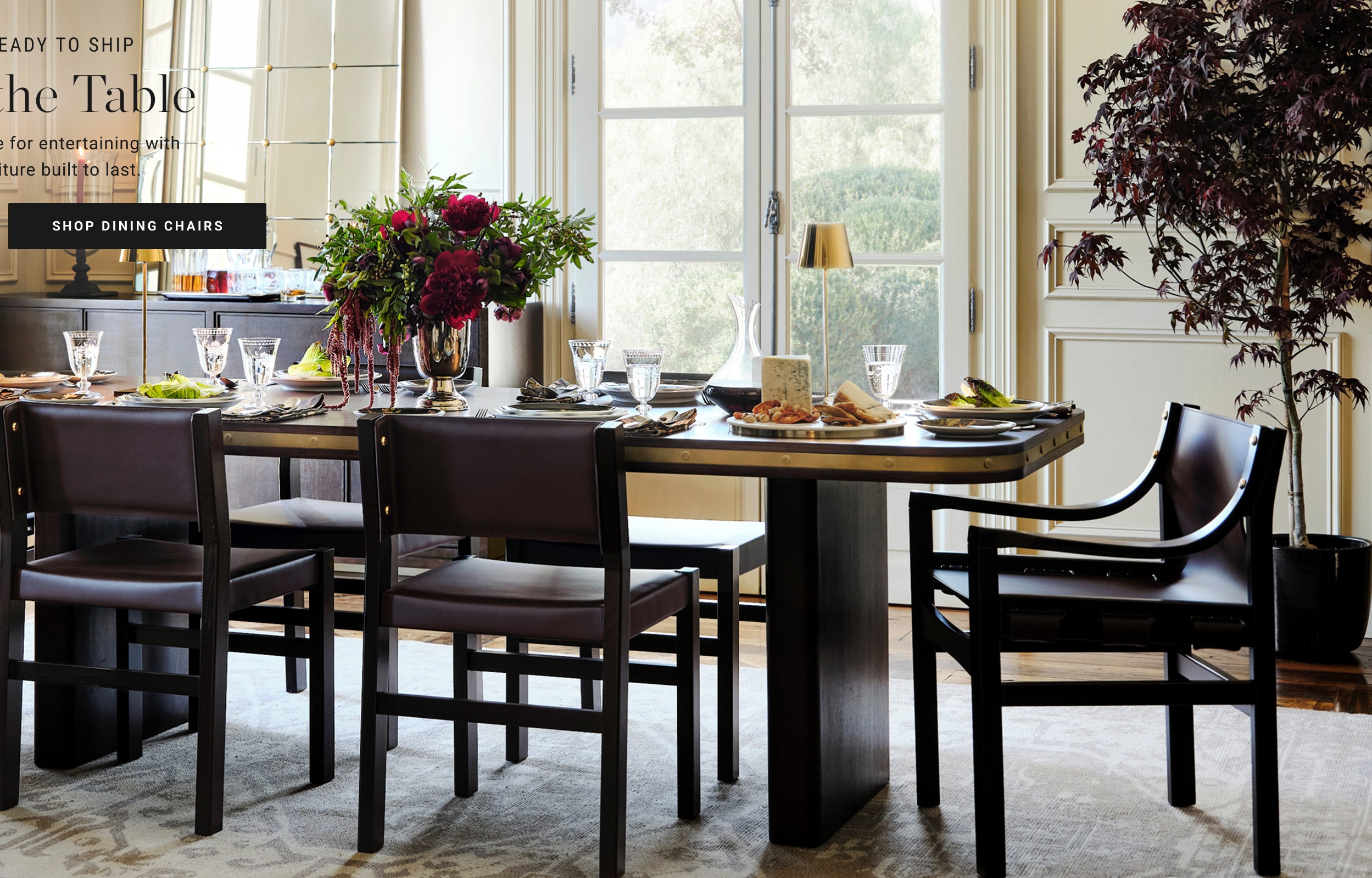 Shop Dining Chairs