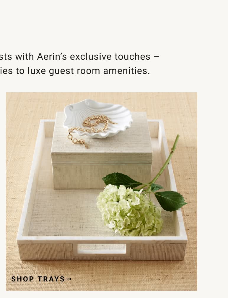 Shop Trays