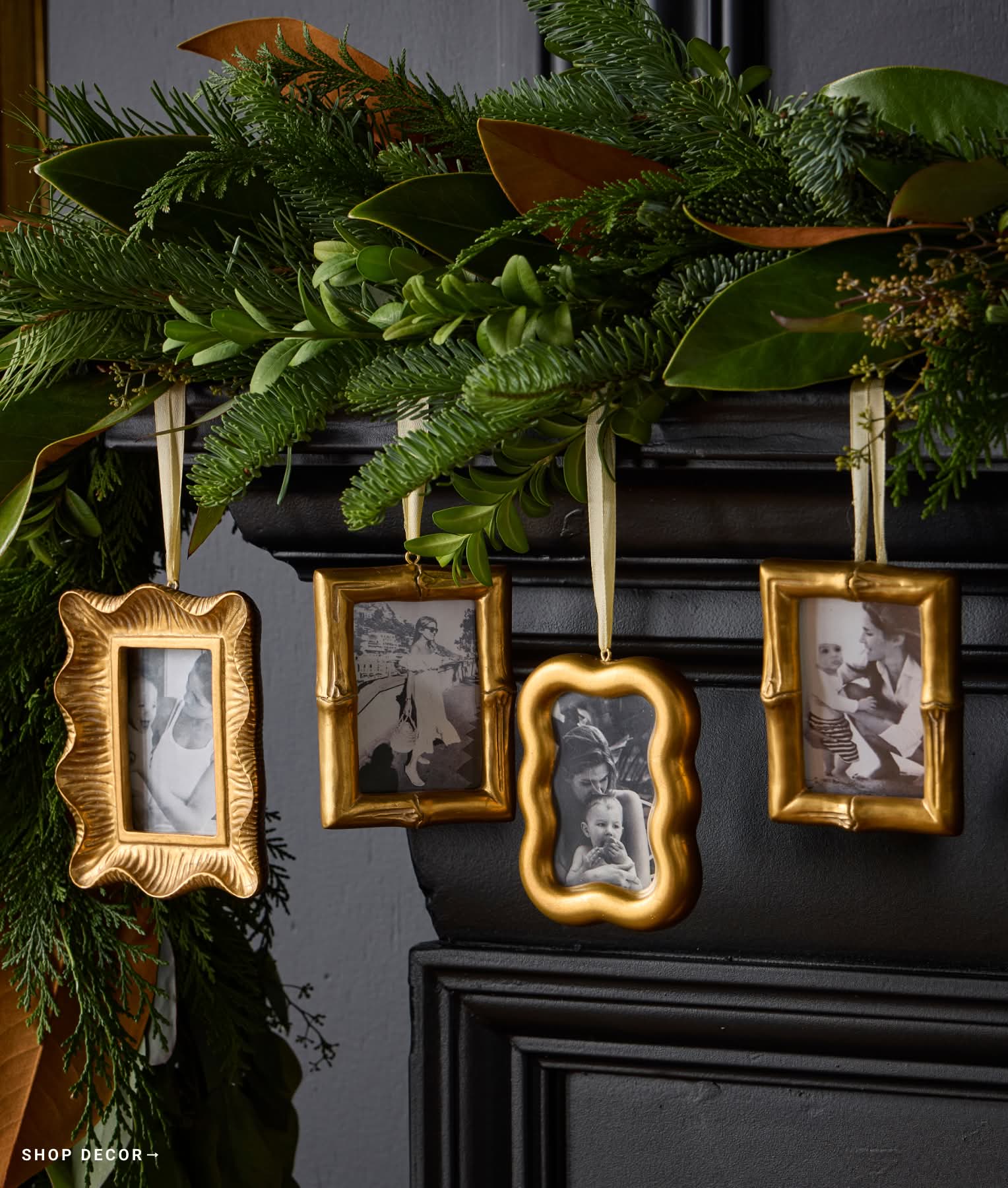 Shop Decor