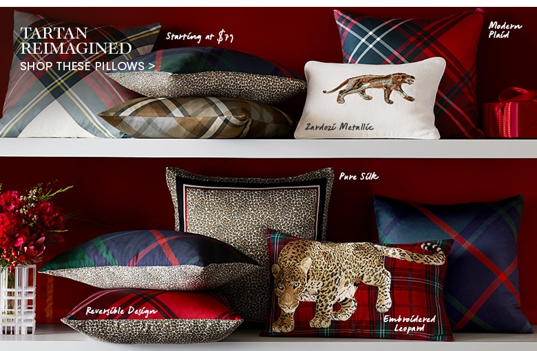 Shop These Pillows >