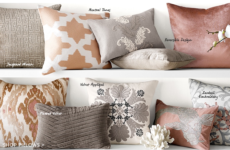 Shop These Pillows >
