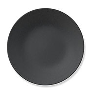 Dinner Plate