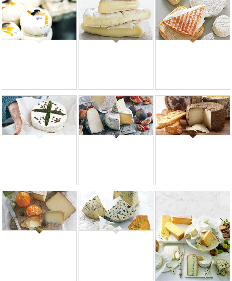 Glossary of Cheese