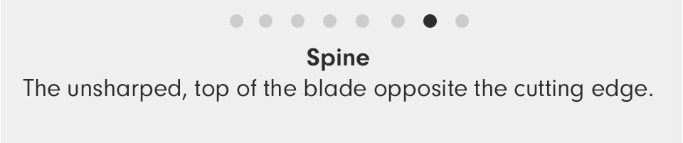 Spine