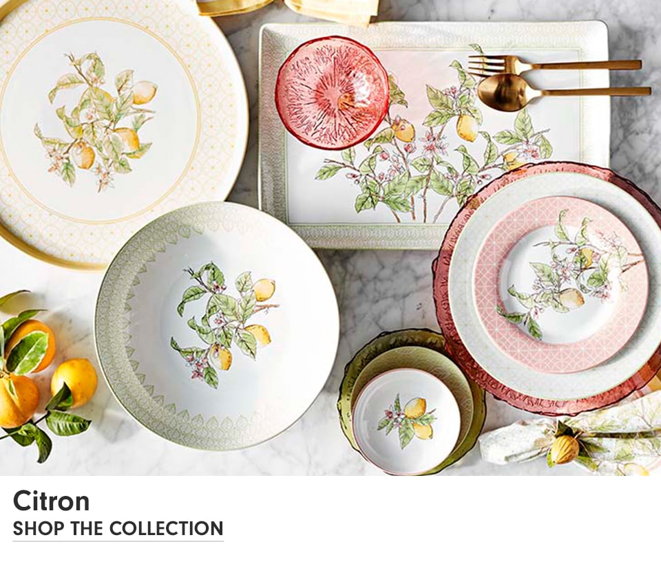 dinnerware williams sonoma