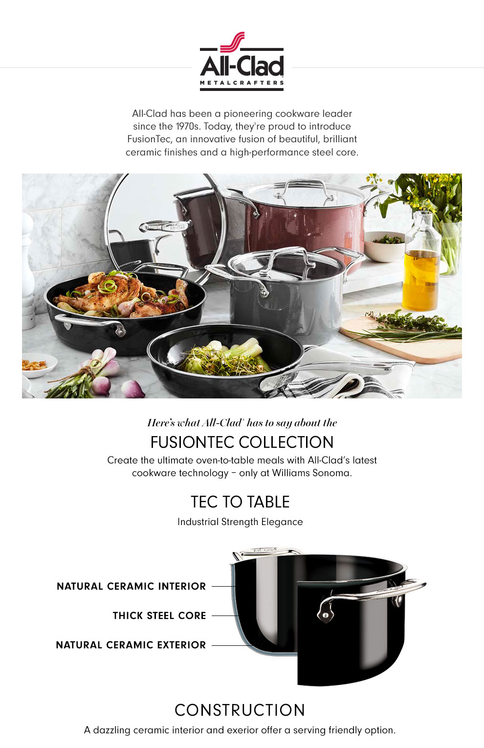 AllClad FUSIONTEC™ Skillet Fry Pan, 9 1/2" Williams Sonoma