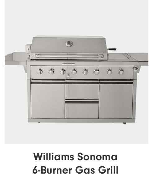 Williams Sonoma 6-Burner Gas Grill