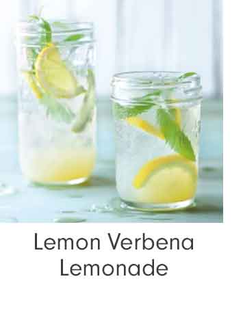 Lemon Verbena Lemonade
