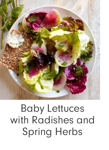 Baby Lettuces with Radishes and Spring Herbs