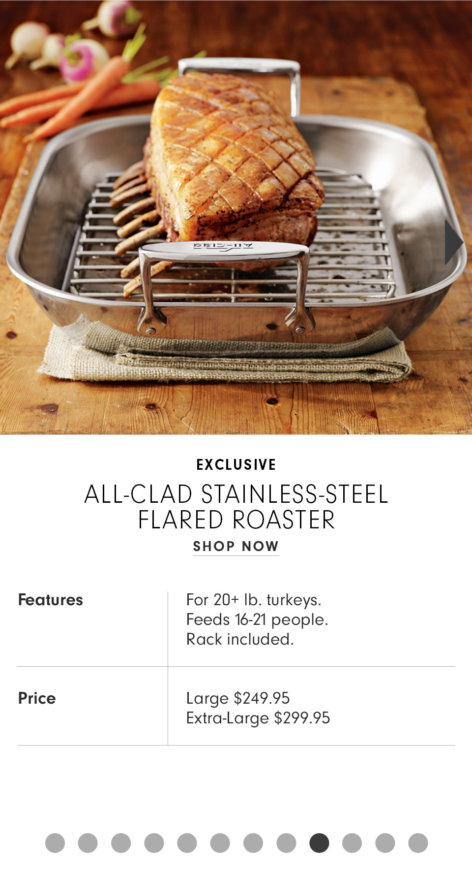 All-Clad Stainless Steel Flared Roaster