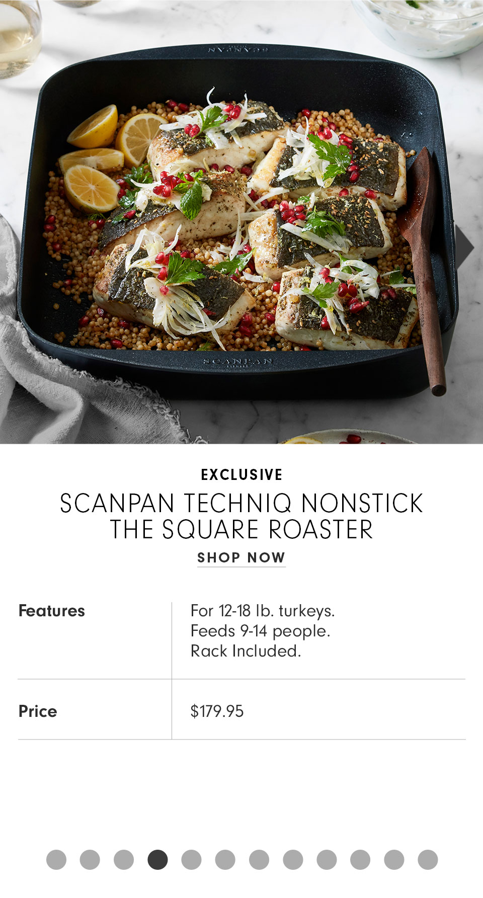Scanpan Techniq Nonstick Square Roaster