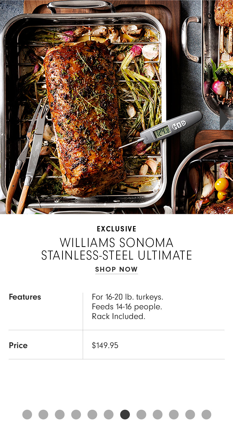 Williams Sonoma Stainless Steel Ultimate Roaster