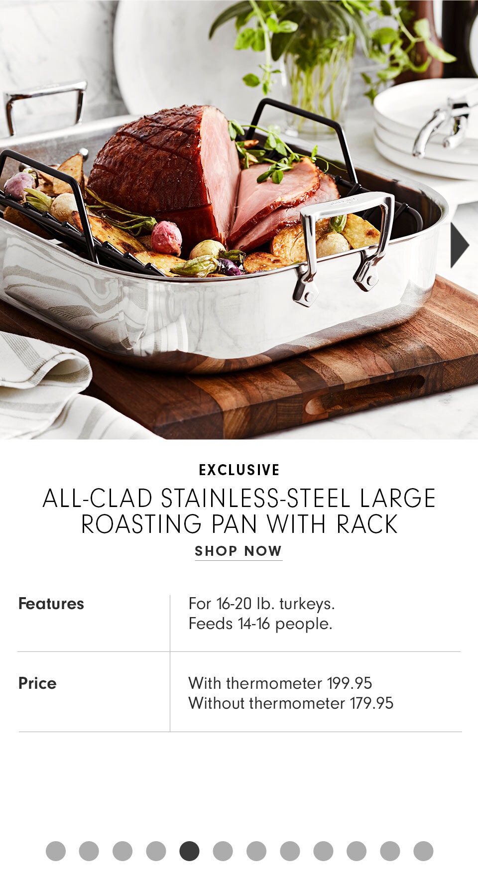 All-Clad Stainless Steel Large Roaster