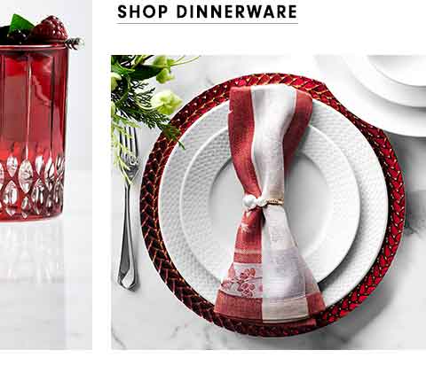 Shop Dinnerware