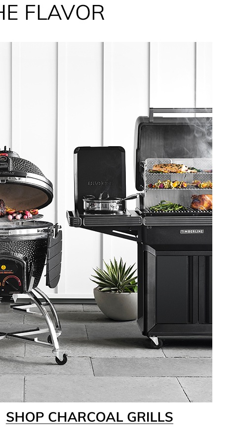 SHOP CHARCOAL GRILLS