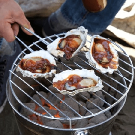 Grilled oysters with barbecue sauce cooking on a grill.