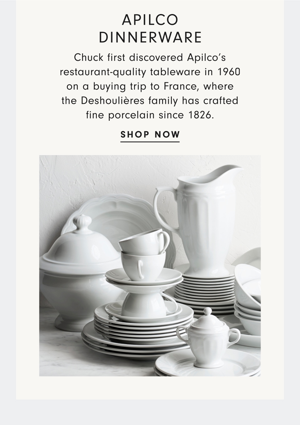 Apilco Dinnerware