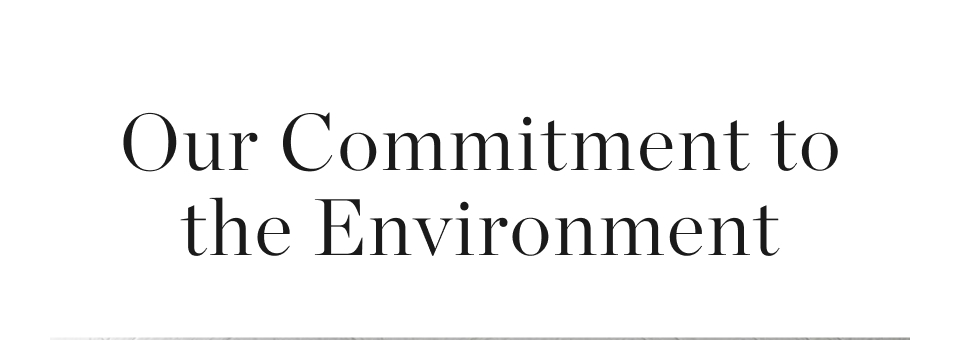 Our Commitment to the Environment