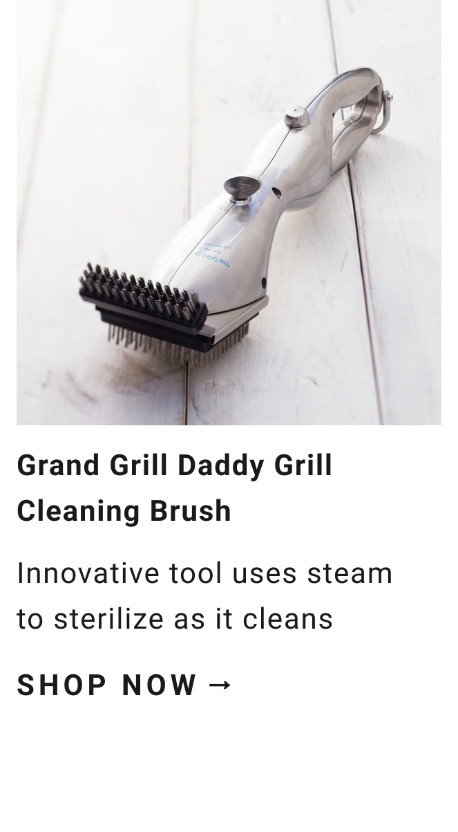 Grand Grill Daddy Grill Cleaning Brush