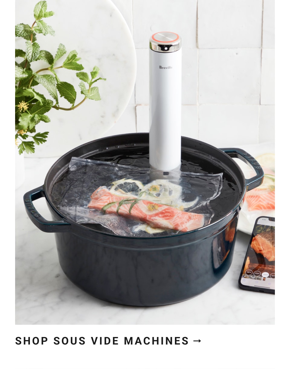 Williams Sonoma Sous Vide Pump and Bag Set