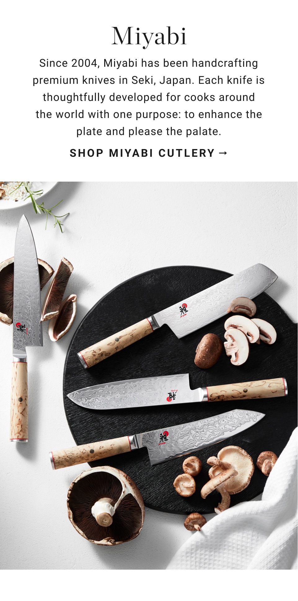 Williams sonoma store knife set