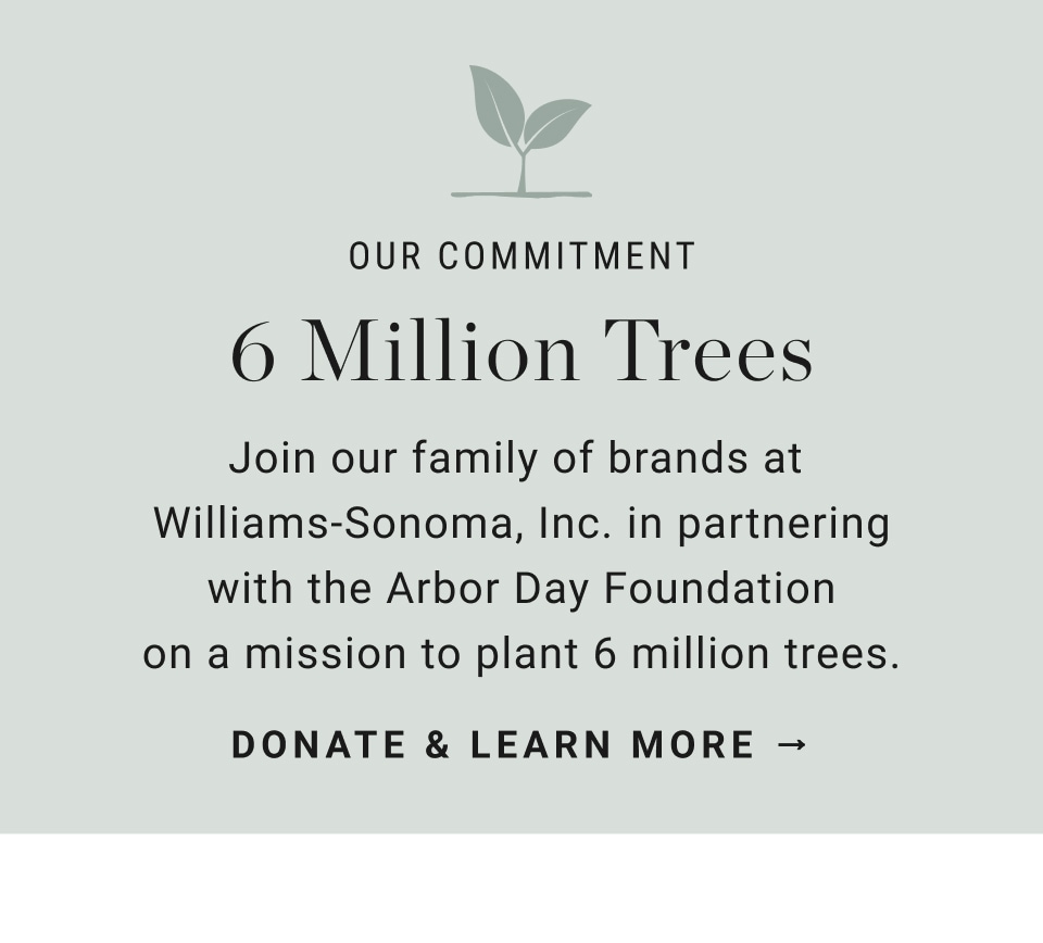 Our commitment 6 million trees by 2023 - Donate & Learn More >