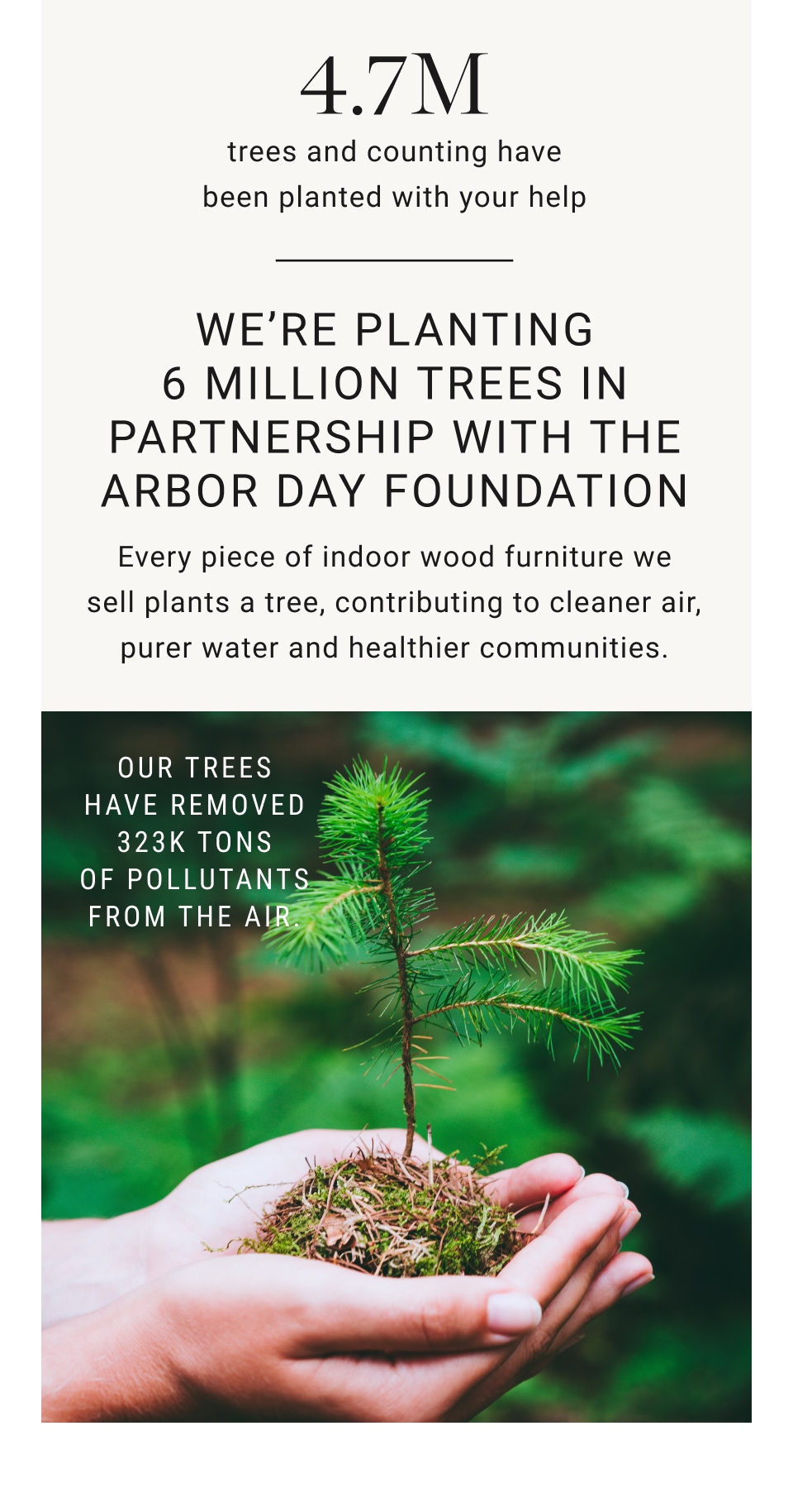 We're planting 6 million trees by the end of 2023