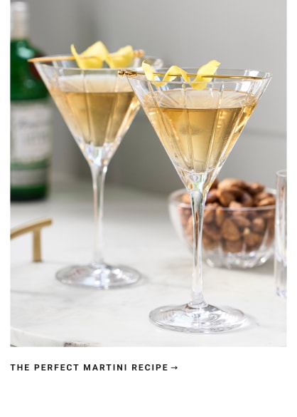 The Perfect Martini Recipe