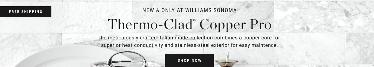 Shop Williams Sonoma Signature Thermo-Clad™ Copper Pro