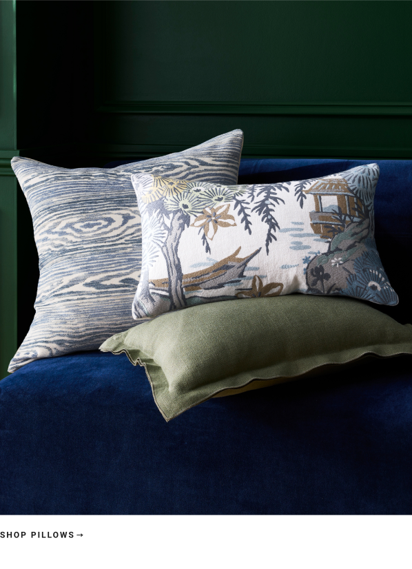 Shop Pillows