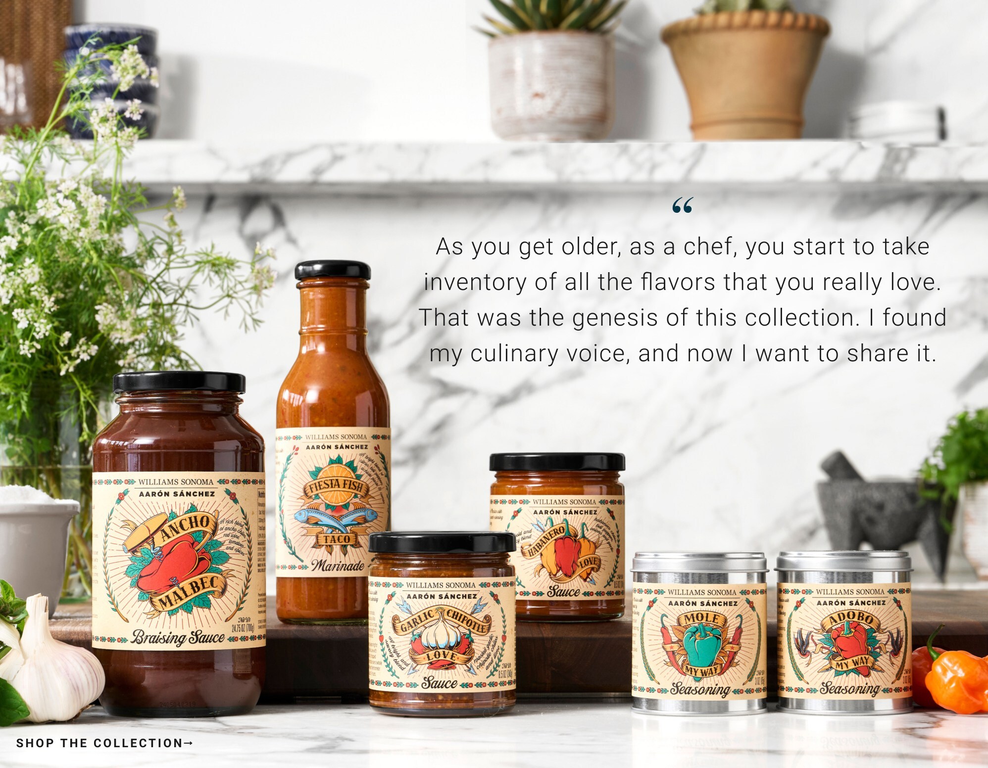 Shop Aaron's Collection Shop Aaron's Collection