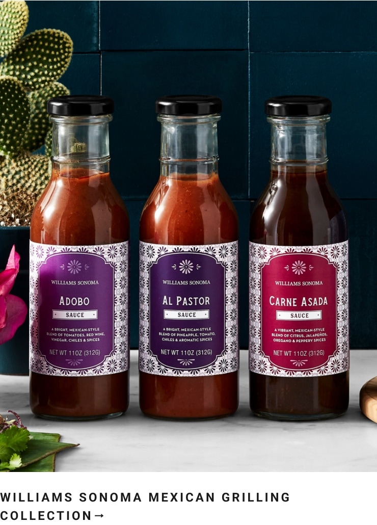 Williams Sonoma Mexican Grilling Collection