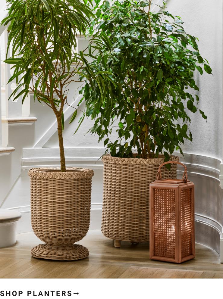 Shop Planters