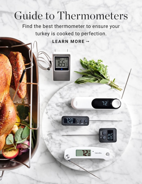 SALTER WILLIAMS-SONOMA アナログスケール SALTER WILLIAMS-SONOMA アナログスケール