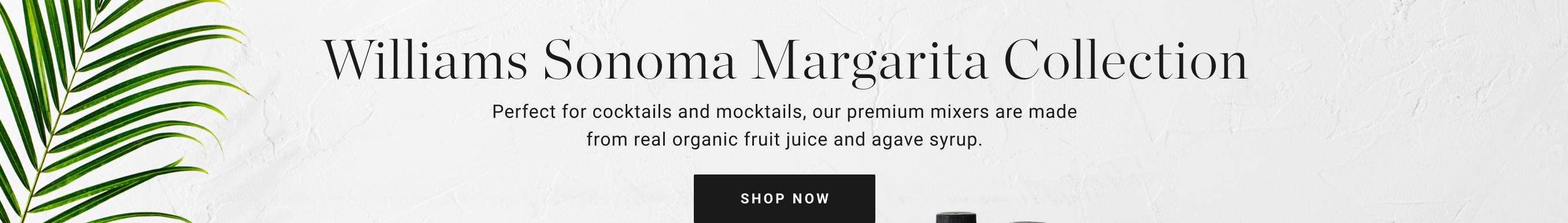 Shop Williams Sonoma Margarita Collection
