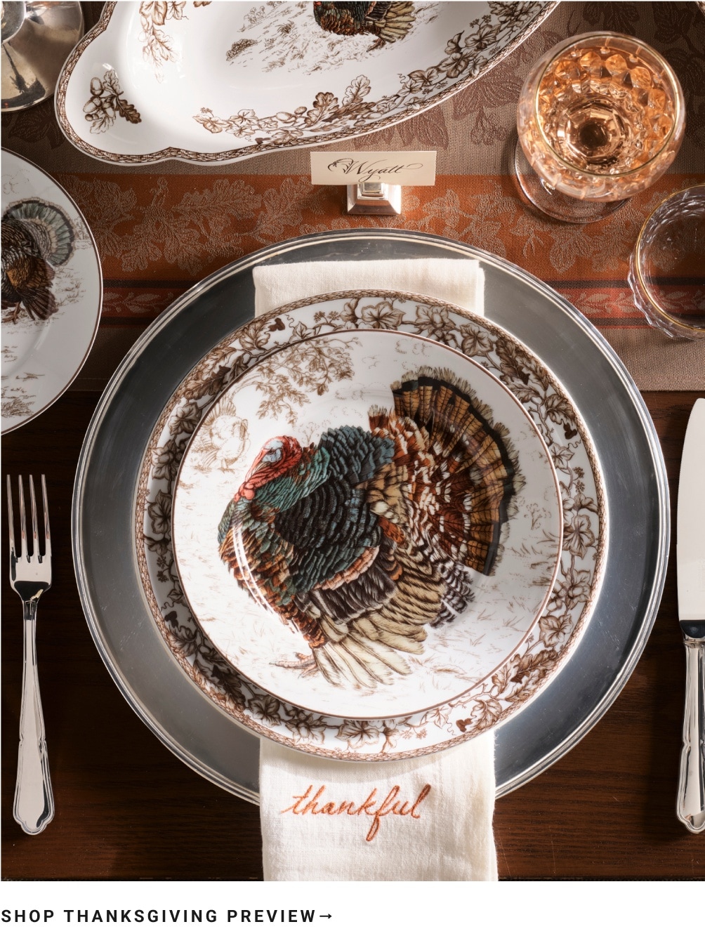 Shop Thanksgiving Preview