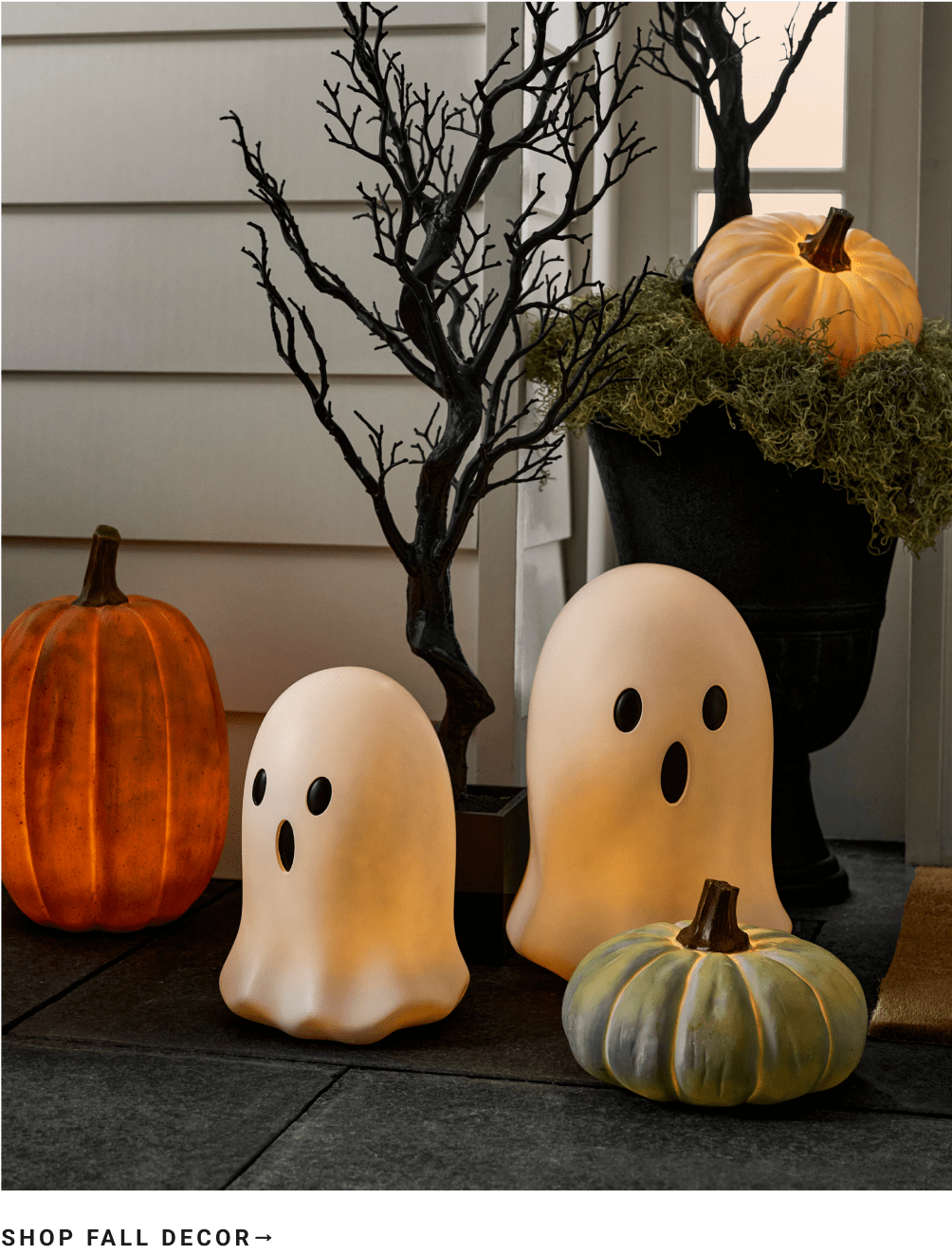 Shop Fall Decor