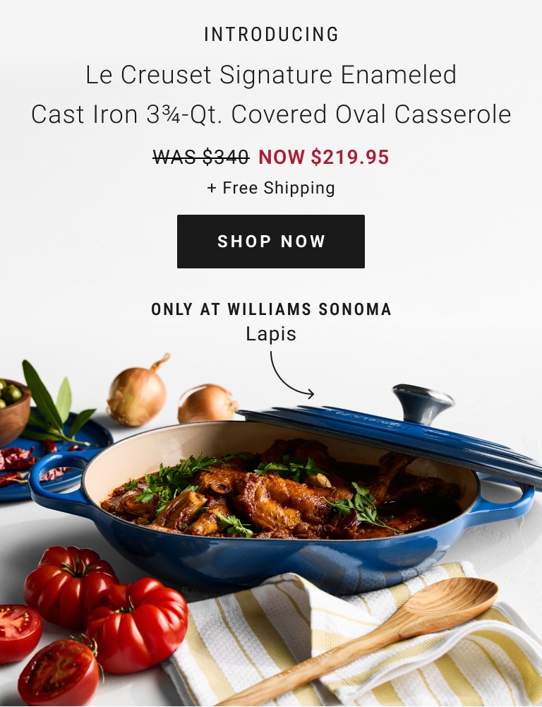 Williams Sonoma エプロン　2点 現地価格セール Williams Sonoma(ウィリアムズソノマ) エプロン