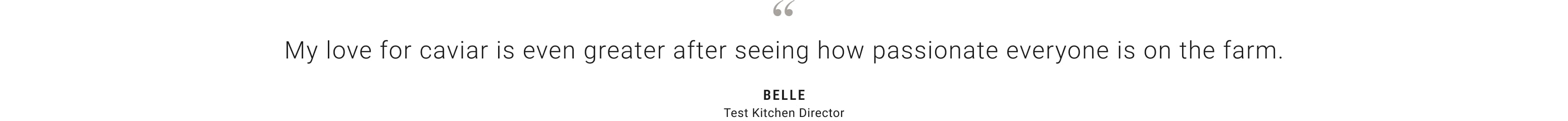 Belle Quote - Test Kitchen Director
