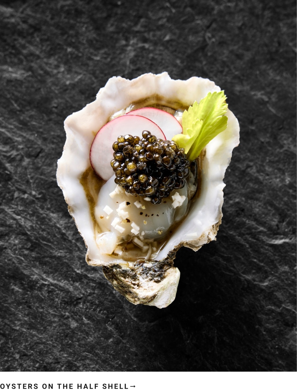 Oysters on the Half-Shell