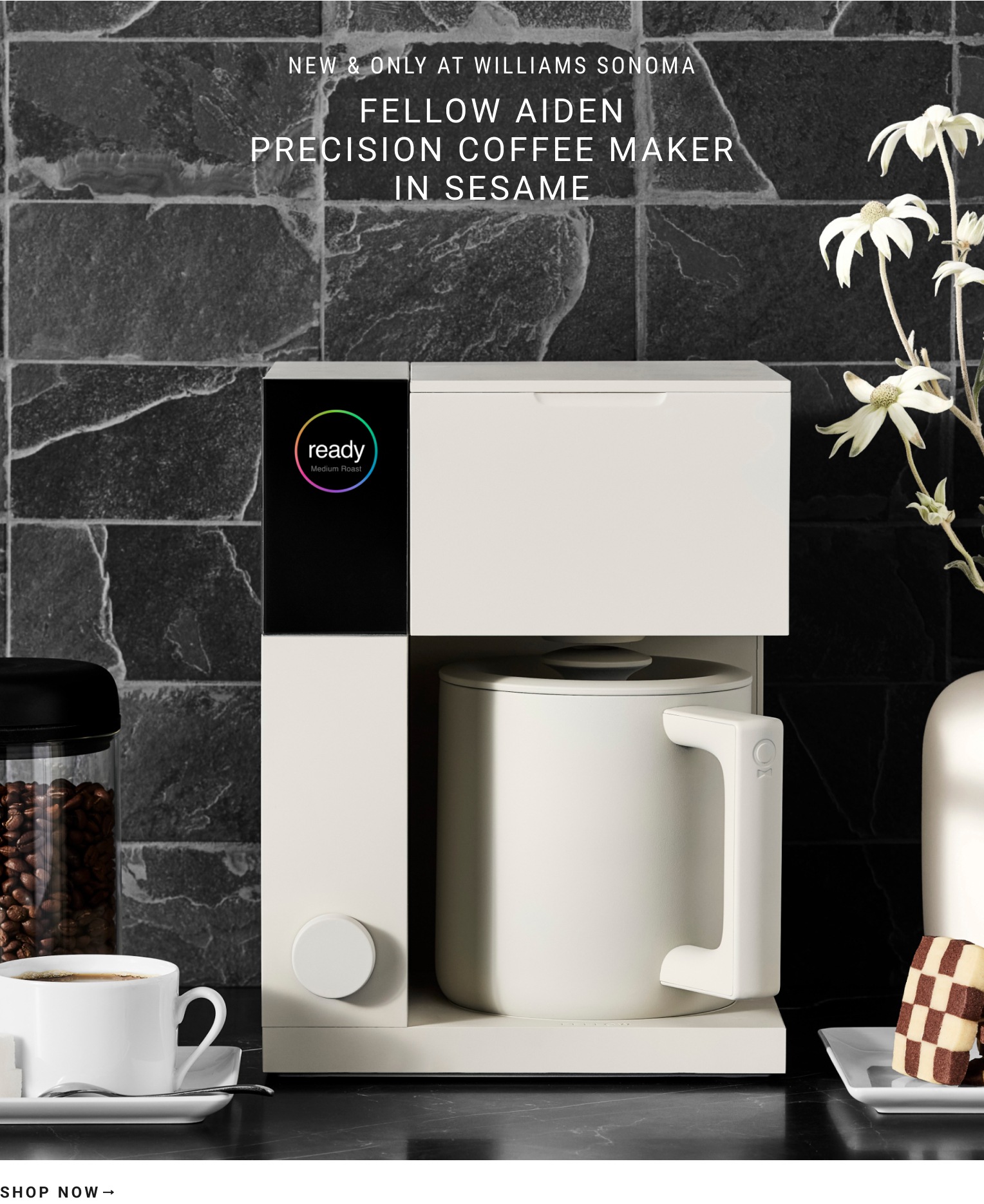 Shop Fellow Aiden Precision Coffee Maker