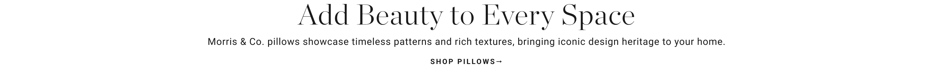 Shop Pillows