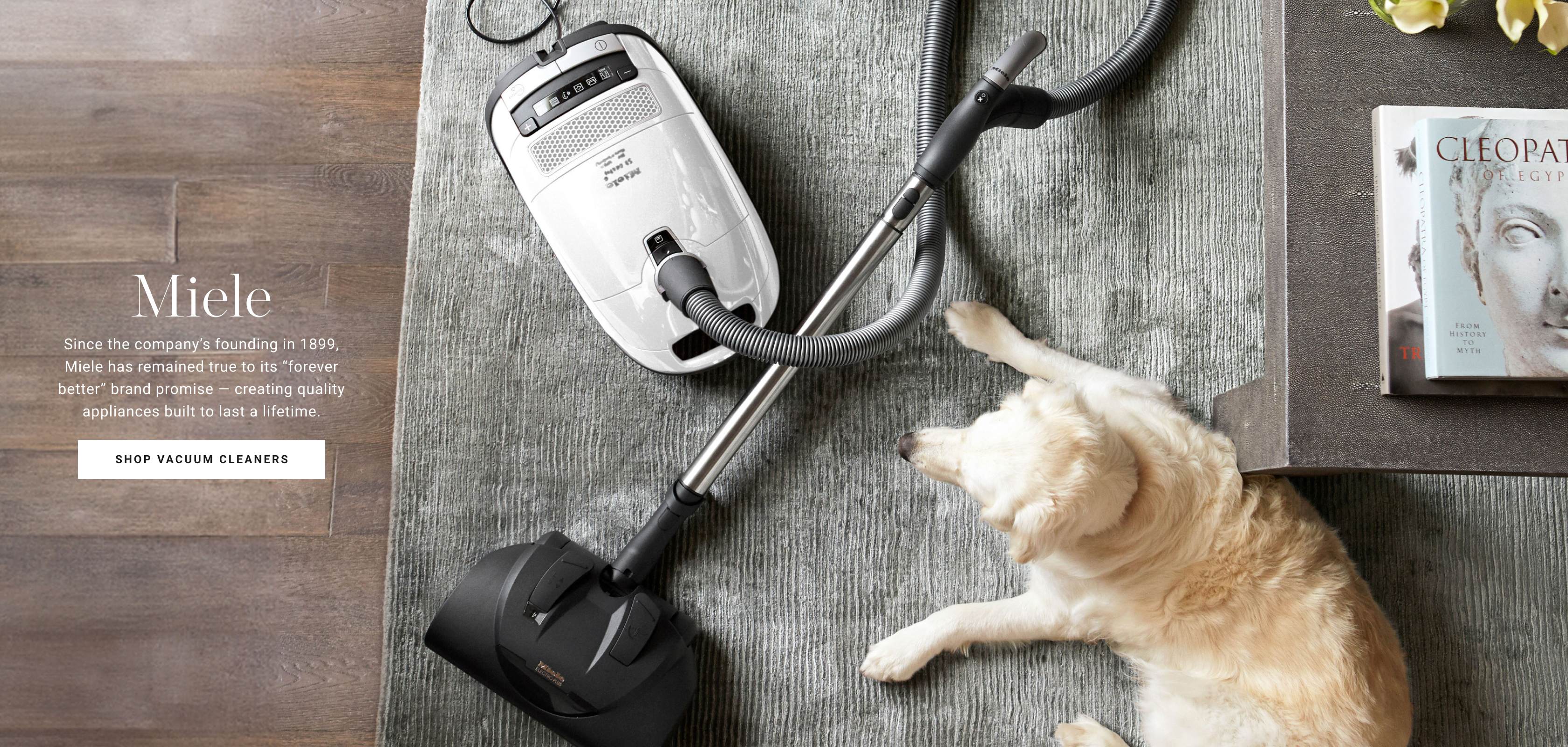 Shop Vacuum Cleaners