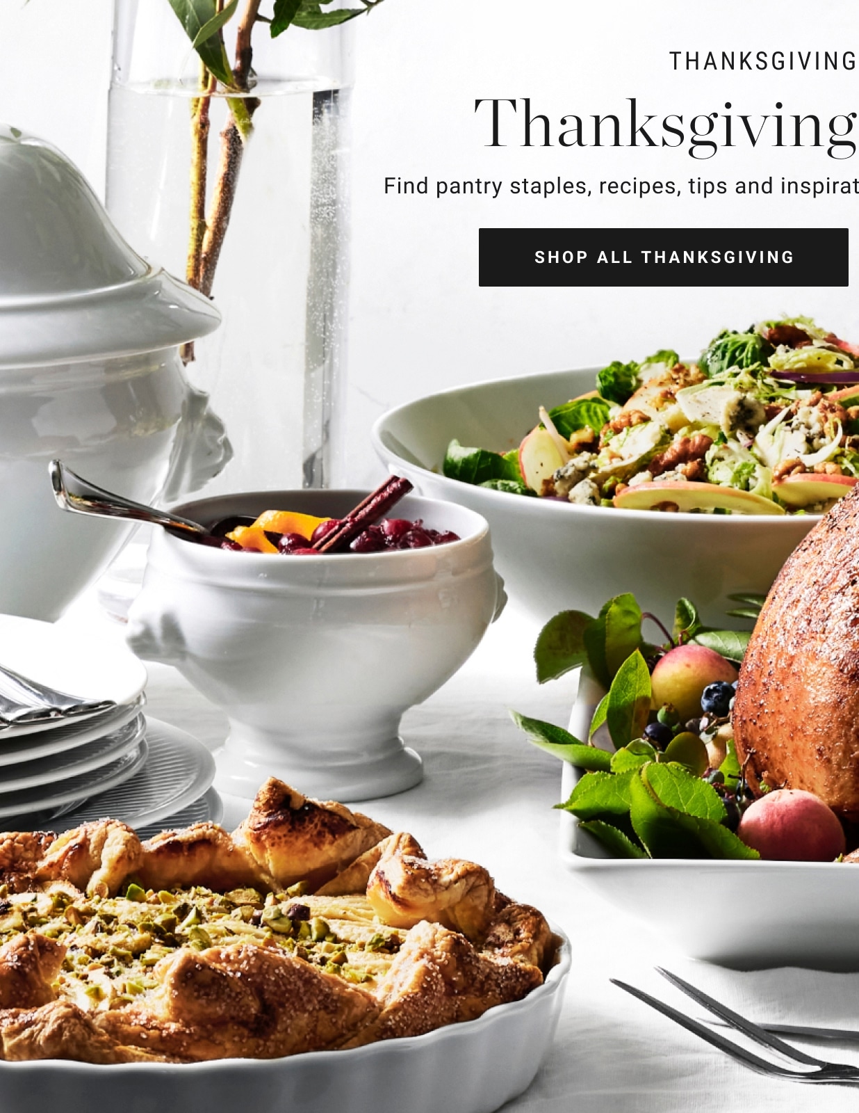 Shop All Thanksgiving