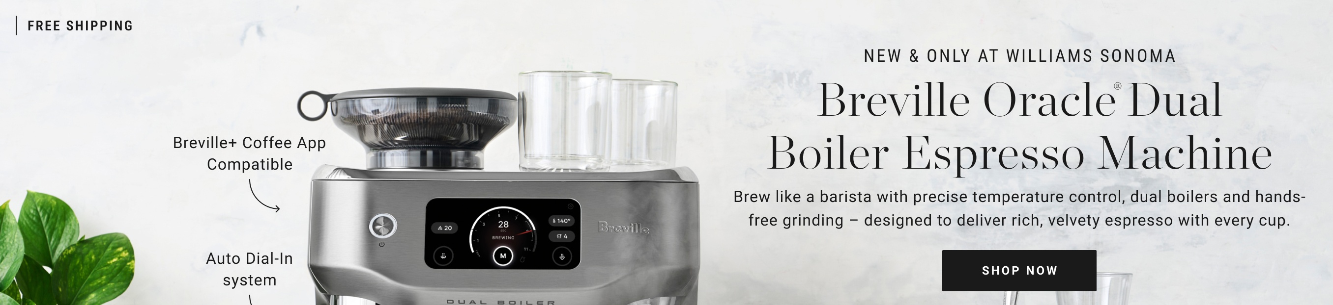 Breville Oracle Dual Boiler Espresso Machine
