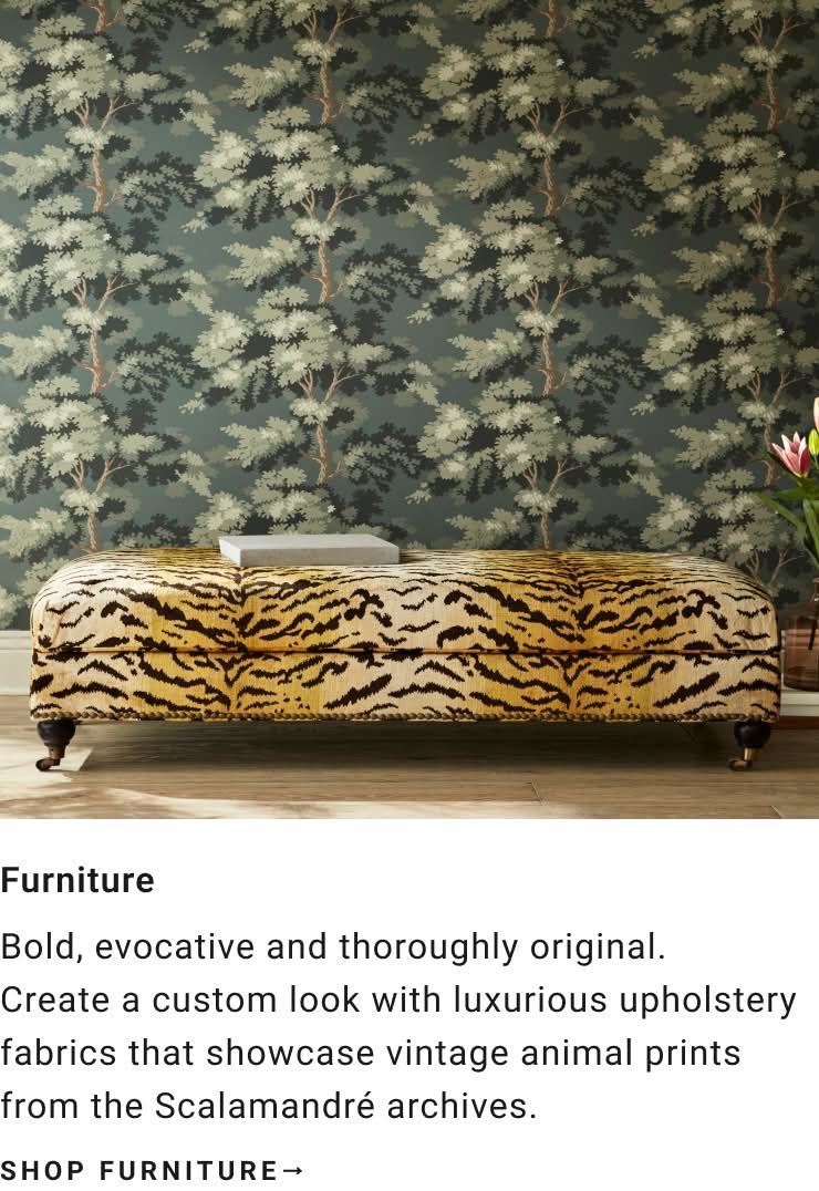 Shop Furniture